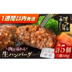 肉 ハンバーグ 博多和牛ハンバーグ140g×5個入り