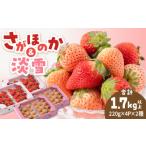 いちご 2027年1月~発送 紅白いちごセット