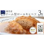 加工品等 レトルト まるでキャベツ 嬬恋産