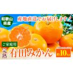 ふるさと納税 果物類 みかん 和歌山県 日高町  先行予約 みかん ご 家庭用 完熟 有田みかん 約10kg 有田マルシェ《11月上旬-11月下旬頃出荷予定》 和歌山県 日…