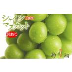 訳あり シャインマスカット 約1kg