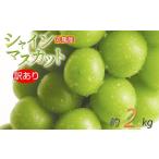 訳あり シャインマスカット 約2kg