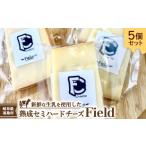 加工品等 チーズ セミハードチーズ Field