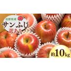 ふるさと納税 りんご 長野県 千曲市 りんご 訳あり サンふじ 約10kg | 林檎 リンゴ アップル 果物 くだもの フルーツ ふじ フジ さんふじ 富士 10kg 10キロ わ…