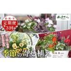 花 定期便3回 季節の寄せ植え ガーデニング