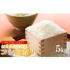 ふるさと納税 米 コシ