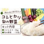 米 コシヒカリ 令和7年産 5kg