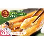干物 アジ M 一夜干し 塩干し サバ 計8尾