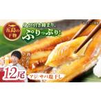 干物 アジ L 一夜干し 塩干し サバ 計12尾