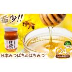 加工品等 はちみつ 定期便 6回 日本蜜蜂のはちみつ