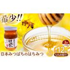 加工品等 はちみつ 定期便 3回 日本蜜蜂のはちみつ