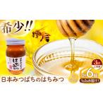 加工品等 はちみつ 定期便 3回 日本蜜蜂のはちみつ