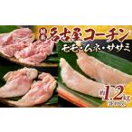 鶏肉 モモ 純系名古屋コーチン ムネ ササミセット