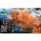 ふるさと納税 カニ 毛ガニ 北海道 森町  11月発送 訳あり 北海道・噴火湾産冷凍ボイル毛ガニ約350g前後×2尾 海鮮問屋　株式会社　瑞宝 かに カニ 蟹 ガニ が…