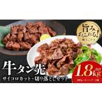 牛肉 タン 令和8年熊本地震復興支援 訳あり