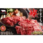 やまぐち和牛燦 切り落とし 400g