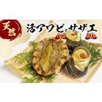 魚貝類 アワビ 天然 活あわび 活サザエ セット