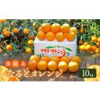 みかん 柑橘類 オレンジ 幻の果物 なるとオレンジ 10kg