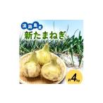 fu.... налог овощи вид шар лук порей Hyogo префектура .книга@ город Awaji Island производство новый лук репчатый 4kg новый шар лук порей tama лук-батун .. овощи шар лук порей .. овощи сезон. овощи Hyogo префектура .книга@ город Awaji Island 