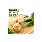 野菜類 玉ねぎ 淡路島 新玉ねぎ 5kg