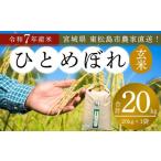 ふるさと納税 米 ひと