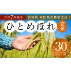 ふるさと納税 米 ひと