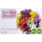 花 苗木 花束 花の福袋 “贅沢な日常花” アルストロメリア