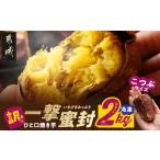 野菜類 サツマイモ 訳あり 一撃蜜封こつぶ