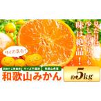 ふるさと納税 果物類 みかん 和歌山県 日高川町  先行予約 和歌山育ちの 訳あり 濃厚みかん(3S〜3L) 約5kg 《11月上旬-12月末頃に発送(土日祝を除く)》和歌山…