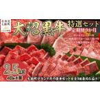牛肉 セット 定期便セット定期3か月 ブランド牛