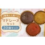 焼菓子 チョコレート マドレーヌ 3種類から