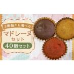 焼菓子 チョコレート マドレーヌ 3種類から