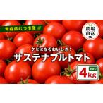 寅福菜園のサステナブルトマト 訳あり4kg