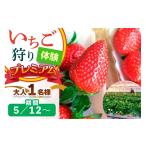fu.... налог body . билет Nara префектура . газонная трава город 5 месяц 12 день после клубника .. body . premium взрослый 1 имя Nara. бренд ( если ...* старый столица .* Asuka рубин )l клубника сельское хозяйство...