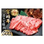 牛肉 モモ 宮崎牛 モモ焼肉 500g