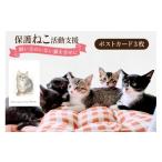インテリア 保護猫 支援 猫保護活動への支援