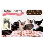 絵画 保護猫 支援 猫保護活動への支援 ポストカード 5枚