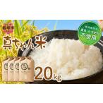 農薬 化学肥料不使用 真ちゃん米 20kg