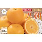 ふるさと納税 みかん・柑橘類 和歌山県 和歌山市 訳あり 森本農園の手選別 八朔 約10kg 和歌山県産 サイズ混合 ［北海道・沖縄・離島配送不可］［2026年1月中…