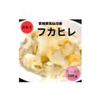 ふるさと納税 魚貝類 宮城県 -  宮城県気仙沼産 訳ありフカヒレ　500g 1642443