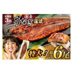 うなぎ 定期便 鰻 蒲焼 特大 約200g