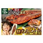 うなぎ 定期便 鰻 蒲焼 特大 約200g
