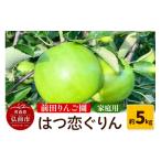 りんご 26年 葉とらず 早生ふじ 約5kg