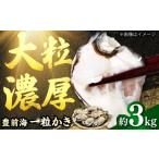 ふるさと納税 牡蠣 生牡蠣 福岡県 吉富町  2026年1月中旬より順次発送 豊前海 一粒牡蠣 約3kg 吉富町／南水産 BGBD002 牡蠣 カキ かき オイスター 殻付 殻付き…