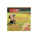 ふるさと納税 玄米 鳥取県 北栄町 1103.令和7年産　原田農園きぬむすめ玄米 5kg