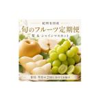 定期便 8 紀州有田産旬のフルーツセット