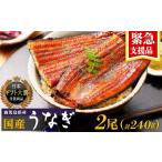 ふるさと納税 うなぎ 鹿児島県 大崎町  緊急支援品 鹿児島県産うなぎ長蒲焼120g×2尾セット