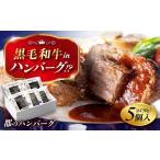 ショッピングふるさと納税 ハンバーグ ふるさと納税 肉 ハンバーグ 広島県 福山市 ハンバーグ 都のハンバーグ 5個セット 広島県福山市／株式会社 都 ギフト レンジ 冷凍 湯煎 食品 ふるさと納税 惣…