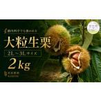 果物類 栗 都内料亭でも扱われる 折原農園の生栗 2kg
