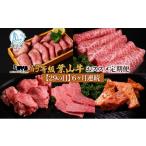 牛肉 バラ カルビ 29の日定期便 6ヶ月連続